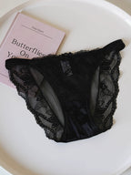Vintage Mesh Panties with Butterfly Embroidery and Lace Trim