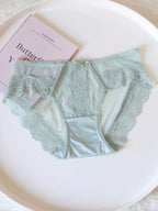 French-Inspired Vintage Panties with Satin Mesh and Lace Trim