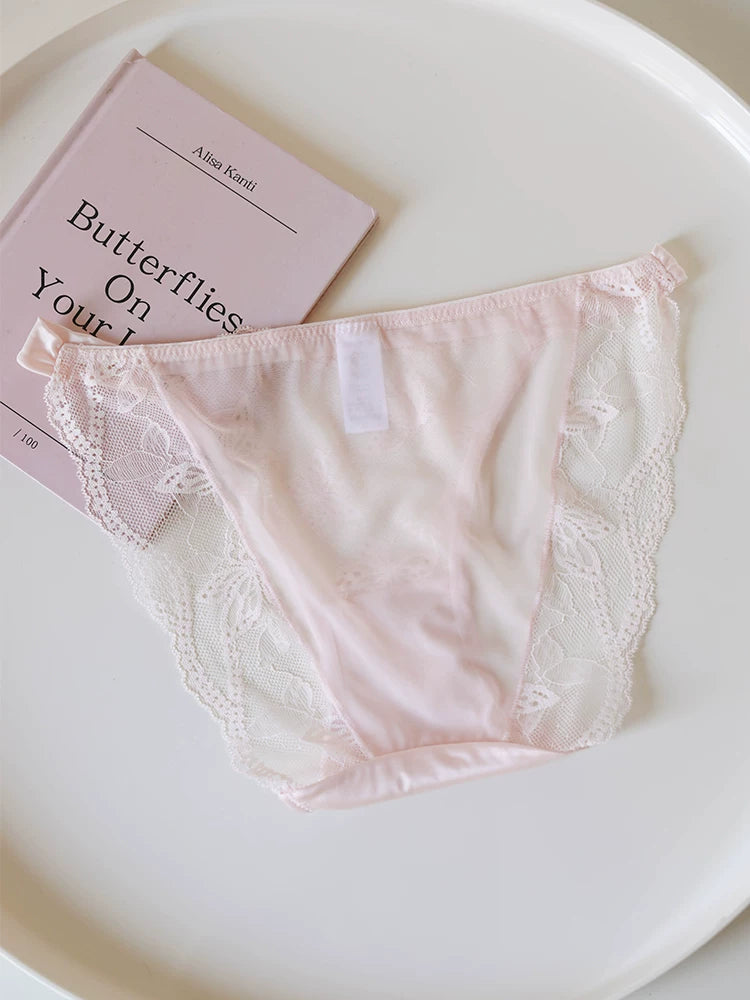 Vintage Mesh Panties with Butterfly Embroidery and Lace Trim