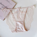 French-Inspired Vintage Mesh Panties with Bow Detail and Lace Trim