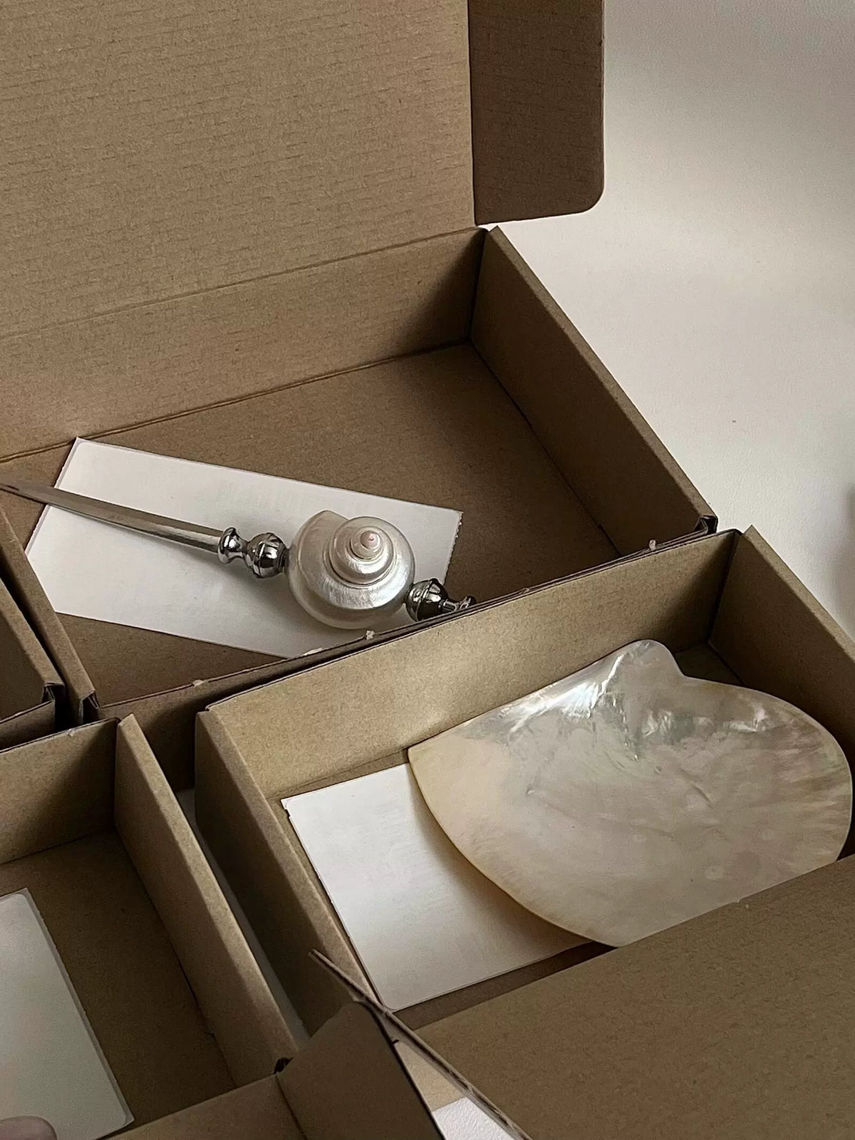 Natural Seashell Letter Opener and Bottle Opener