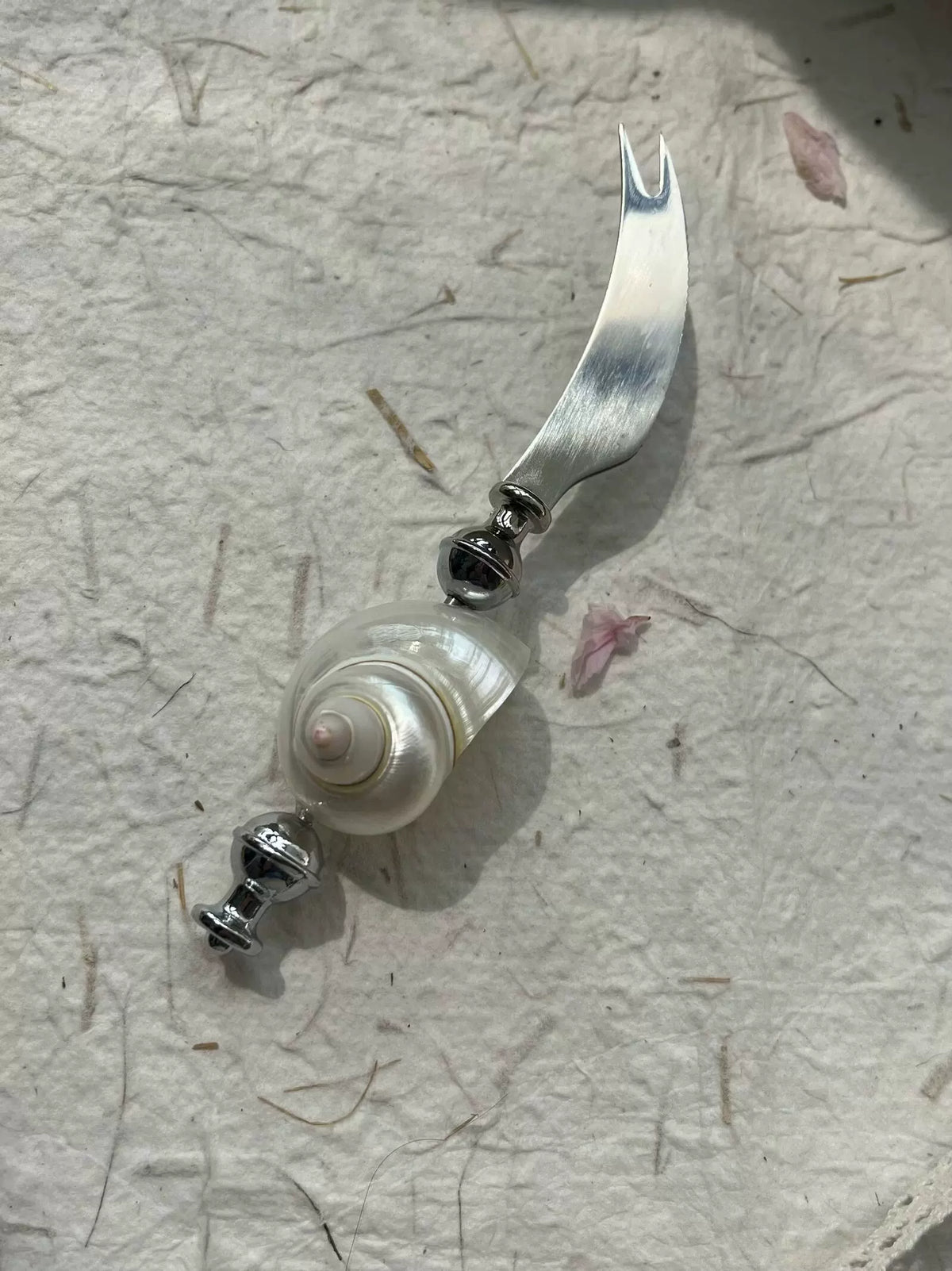 Natural Seashell Letter Opener and Bottle Opener