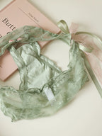 French-Inspired Low-Waist Sheer Mesh Panties with Ribbon Bow and Lace Trim