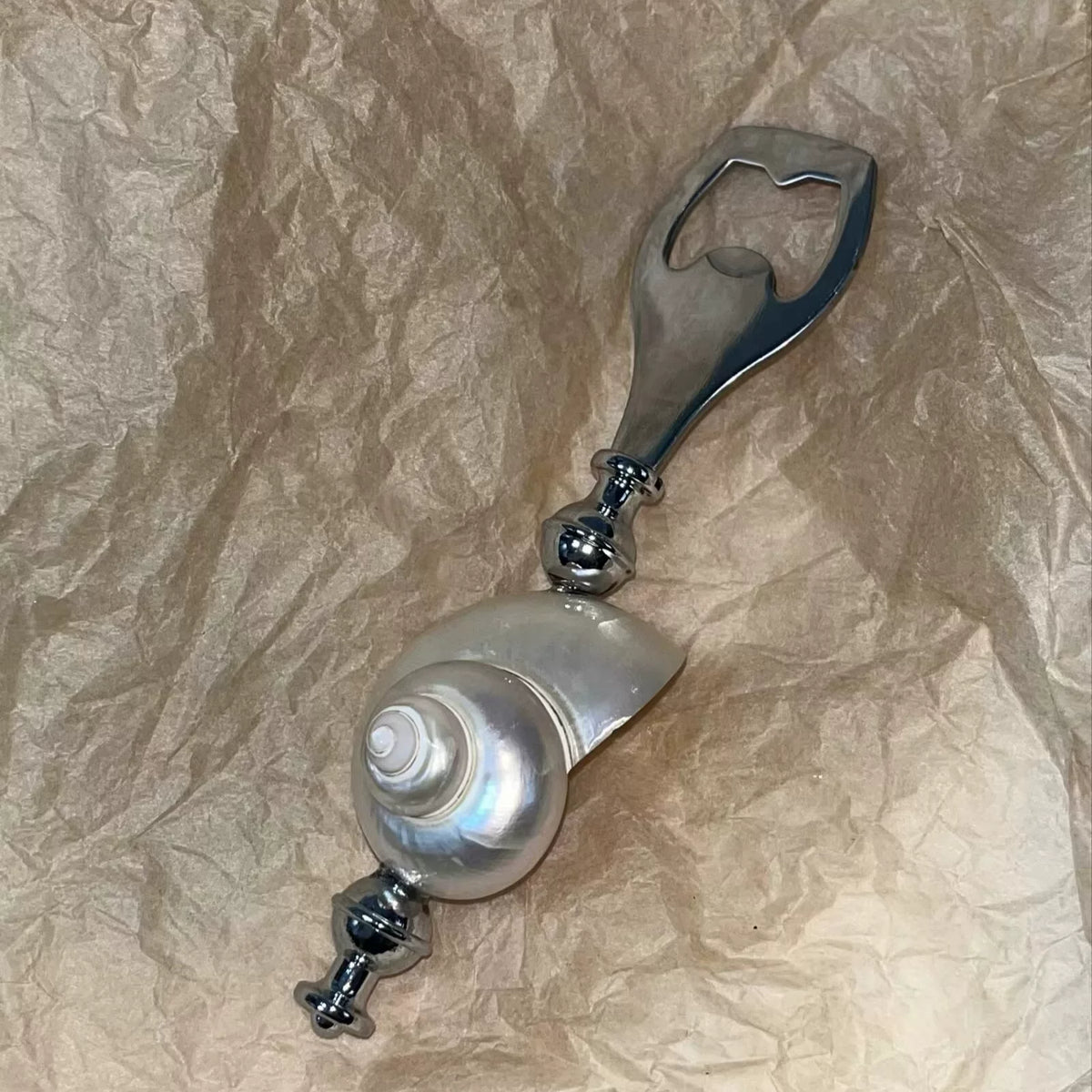 Natural Seashell Letter Opener and Bottle Opener
