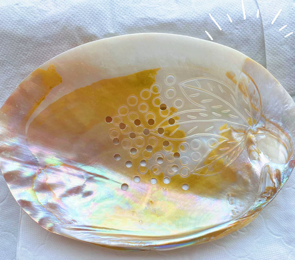 Natural Seashell Draining Soap Dish Bathroom Organizer