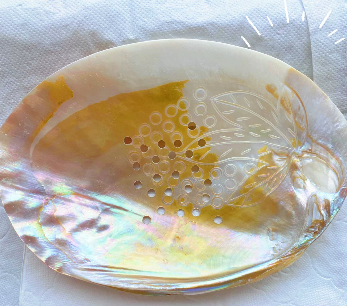 Natural Seashell Draining Soap Dish Bathroom Organizer