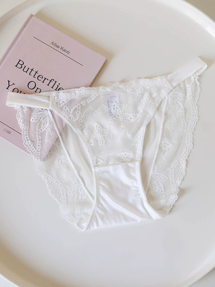 Vintage Mesh Panties with Butterfly Embroidery and Lace Trim