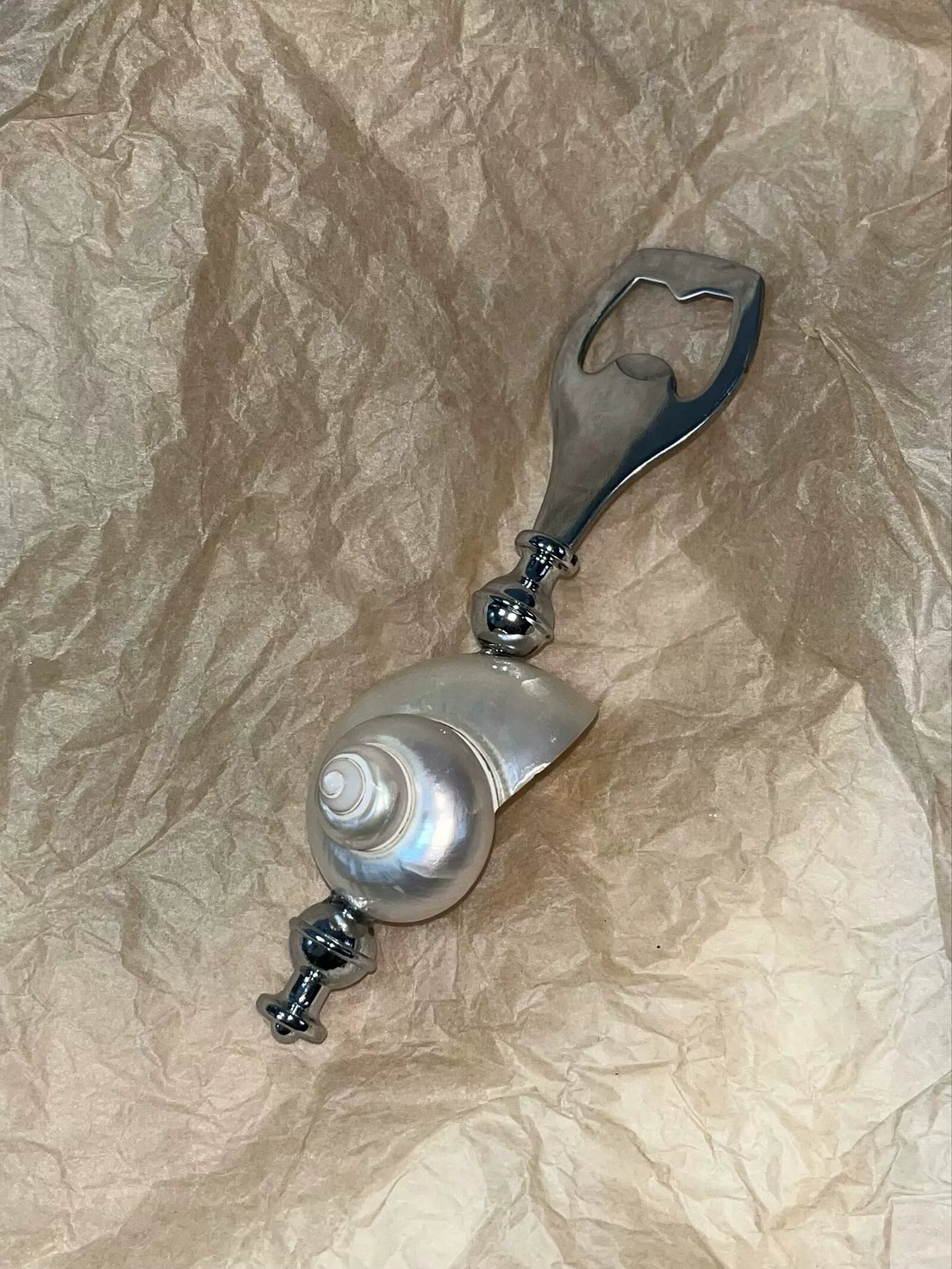 Natural Seashell Letter Opener and Bottle Opener