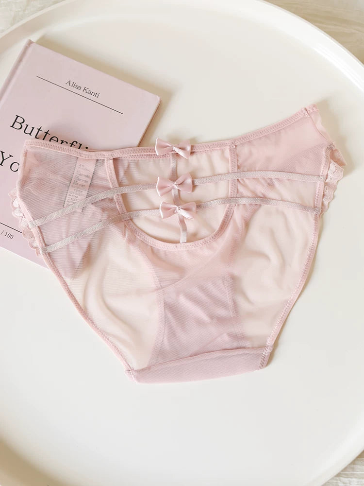 French-Inspired Vintage Mesh Panties with Bow Embroidery and Lace Trim