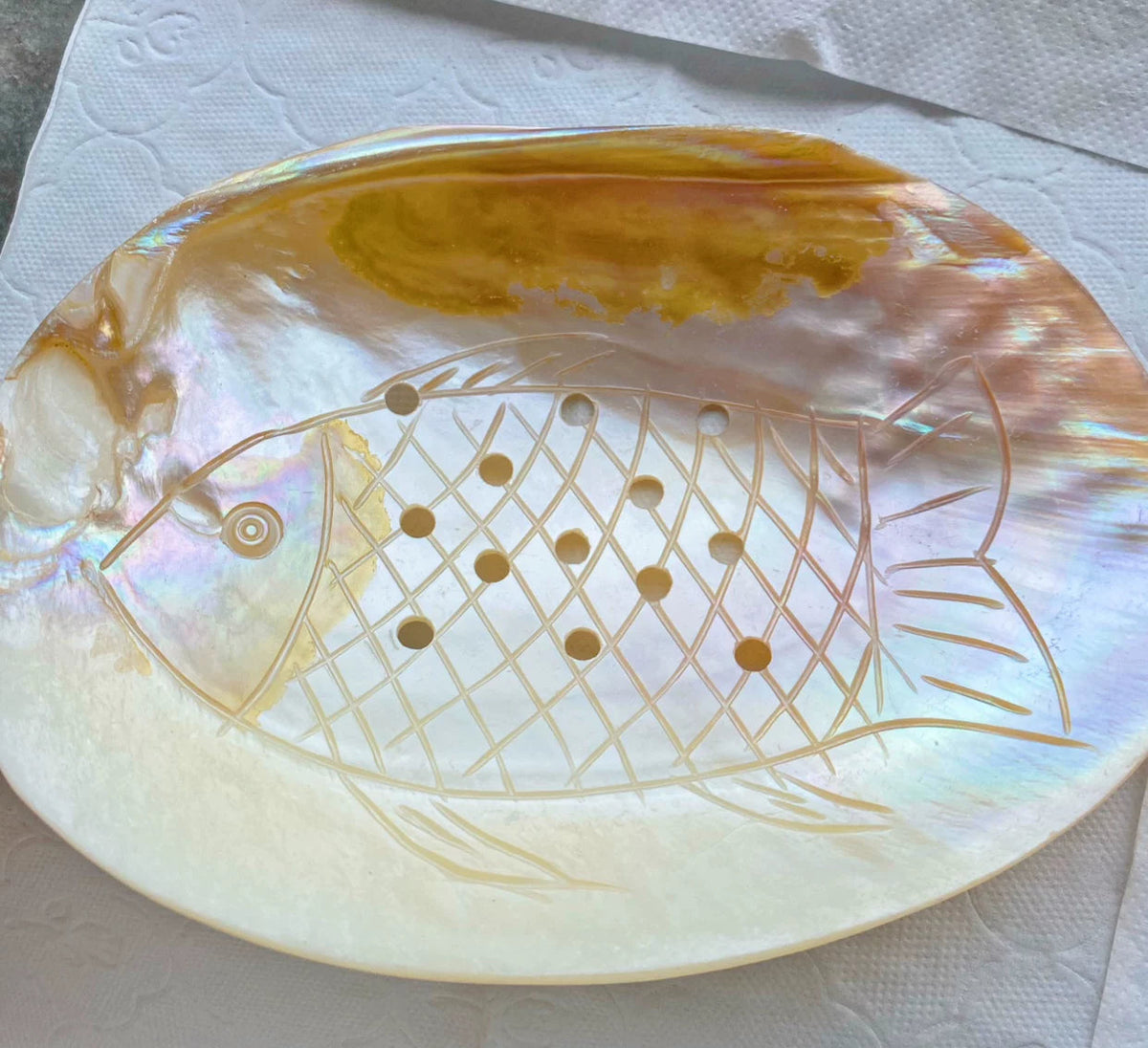 Natural Seashell Draining Soap Dish Bathroom Organizer