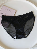 French-Inspired Vintage Mesh Panties with V-Waist and Lace Trim