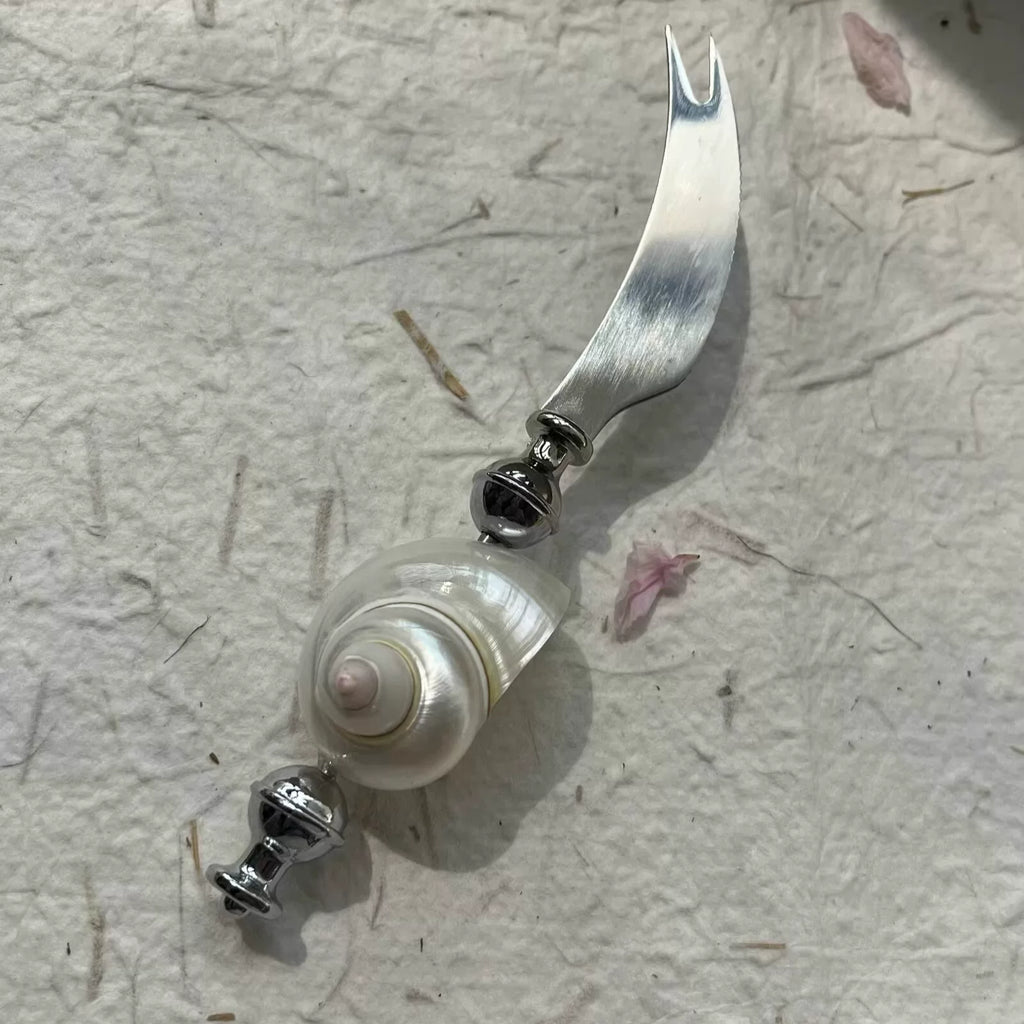 Natural Seashell Letter Opener and Bottle Opener