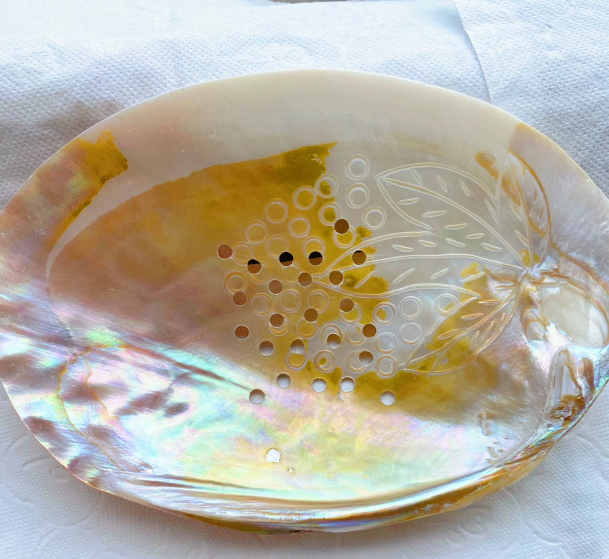 Natural Seashell Draining Soap Dish Bathroom Organizer