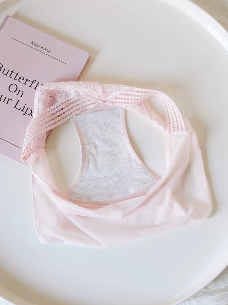 French-Inspired Vintage Mesh Panties with V-Waist and Lace Trim
