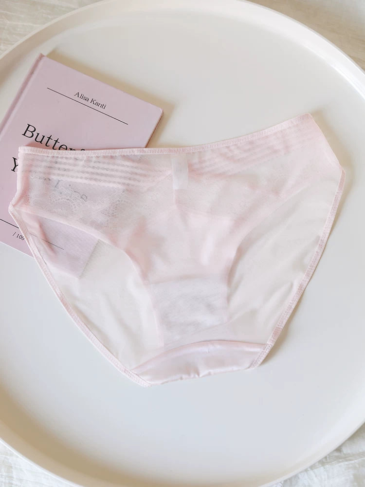 French-Inspired Vintage Mesh Panties with V-Waist and Lace Trim