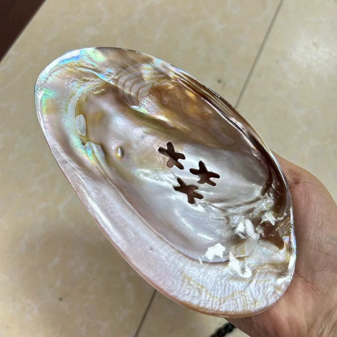 Natural Seashell Draining Soap Dish Bathroom Organizer