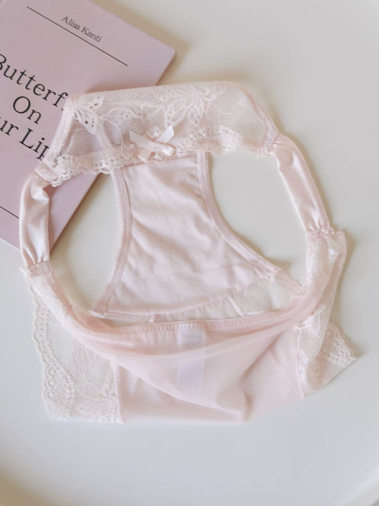 Vintage Mesh Panties with Butterfly Embroidery and Lace Trim
