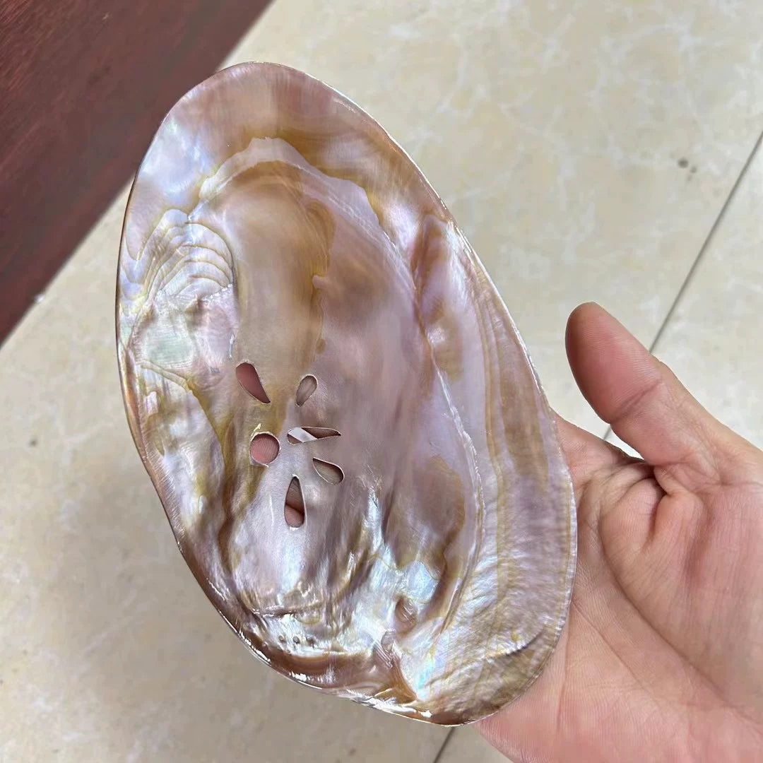 Natural Seashell Draining Soap Dish Bathroom Organizer