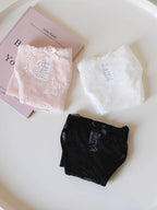 Vintage Mesh Panties with Butterfly Embroidery and Lace Trim